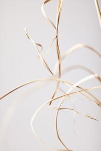 Fotografia artistica Dried Grass Grey 02, Studio Collection, (26.7 x 40 cm)