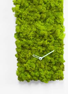 Progetti Orologio da parete moderno in lichene naturale per interni Clock_Circle Verde