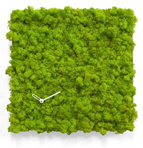 Progetti Orologio da parete in lichene naturale per interni piccolo Clock_Circle Verde