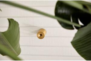 LOOM DESIGN plafoniera LED Nyx, ottone, IP54 dimmerabile, Ottone / Oro, Bagno, Alluminio, Moderno, Plafoniere LED