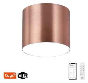 Immax NEO 07320L - Plafoniera LED dimmerabile RONDATE 32W/230V 16,5 cm Wi-Fi Tuya rosa