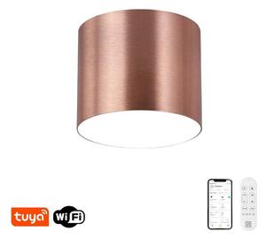 Immax NEO 07319L - Plafoniera LED dimmerabile RONDATE 18W/230V, diam. 11,5 cm, Wi-Fi Tuya, rosa