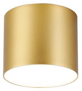Immax NEO 07317L - Plafoniera LED dimmerabile RONDATE 18W/230V 11,5cm Wi-Fi Tuya oro