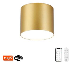 Immax NEO 07317L - Plafoniera LED dimmerabile RONDATE 18W/230V 11,5cm Wi-Fi Tuya oro