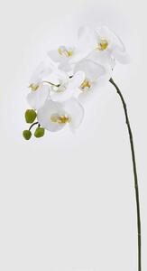 EDG - Enzo de Gasperi Pianta artificiale con ramo di Orchidea Bianco