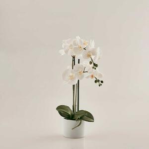EDG - Enzo de Gasperi Pianta artificiale Orchidea con vaso moderno Gomma Siliconata Bianco