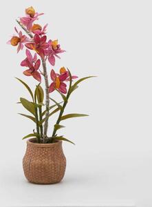 EDG - Enzo de Gasperi Pianta artificiale di Orchidea Dendrobium Reale con vaso Gomma Siliconata Arancione