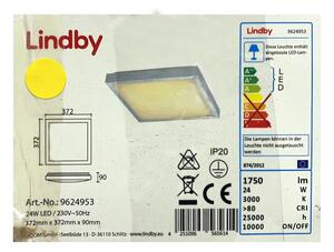 Lindby - Plafoniera LED MARGIT LED/24W/230V