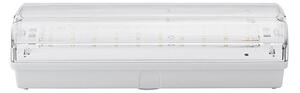 Luce di emergenza LED LED/3W/240V 6000K IP65
