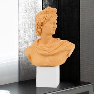 Bongelli Preziosi Busto di Apollo in stile moderno in varie colorazioni Marmorino Arancione