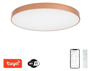 BRILAGI-LED Lampada dimmerabile POOL SMART LED/128W/230V 100 cm Wi-Fi Tuya bronzo+telecomando