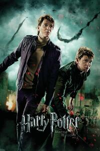 Stampa d'arte Harry Potter - Fred and George