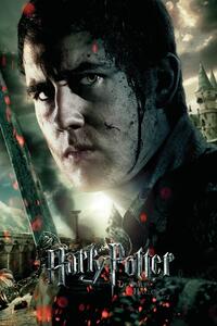 Stampa d'arte Harry Potter - Neville Longbottom