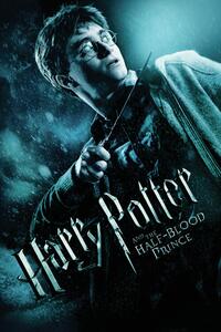 Stampa d'arte Harry Potter and The Half-blood prince