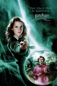 Stampa d'arte Harry Potter - Hermione Granger