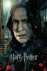 Stampa d'arte Harry Potter - Severus Snape