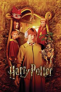 Stampa d'arte Harry Potter -The Weasleys