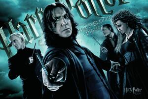 Stampa d'arte Harry Potter - Followers of Voldemort