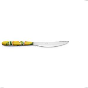 Coltello tavola Vero Sorrento, acciaio 18.0 nickel free, manicatura pbt sublimato acciaio lucido, lunghezza 225 mm