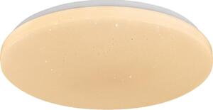 Rabalux 71445 - Plafoniera LED dimmerabile DANNY 2 LED/22W/230V 3000-6500K diam. 33 cm + telecomando