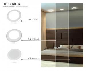 Faretto LED da incasso 55W Doppia Accensione - Foro Ø66mm Colore Bianco Naturale 4.000K