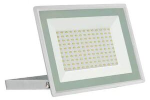 Proiettore 100W IK7 IP65 B. NATURALE Colore Bianco Naturale 4.000K