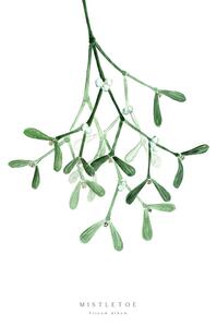 Illustrazione Watercolor mistletoe illustration, Blursbyai