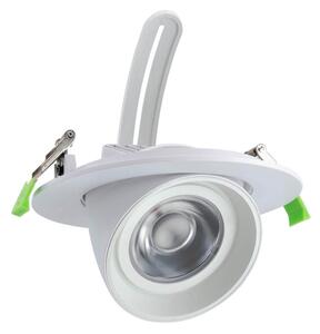 Faro LED da Incasso 44W Orientabile Foro Ø160mm Bianco-driver Philips Colore Bianco Caldo 2.700K