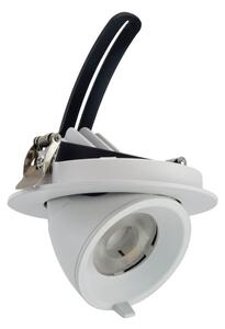 Faro LED da Incasso 15W Orientabile foro Ø100mm con driver Philips Colore Bianco Naturale 4.000K