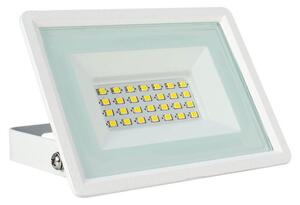 Faro LED 30W IK07 IP65 Bianco Colore Bianco Caldo 3.000K