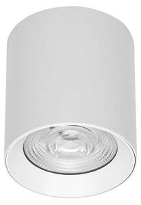 Applique da soffitto 20W Bianca CCT Bianco Variabile Angolo 24°/38° Bridgelux LED