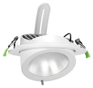 Faro LED da Incasso 42W Orientabile Foro Ø210mm con driver Philips Colore Bianco Variabile CCT
