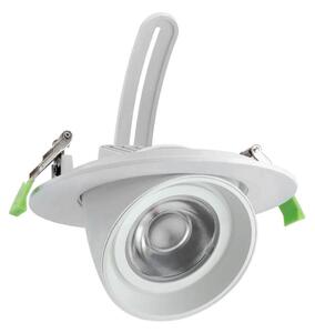 Faro LED da Incasso 44W Foro Ø160mm con driver Philips- Per Carni Colore Rosa Alimentare