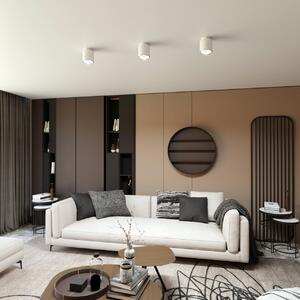 Lampada da Soffitto in Acciaio AR111 NANO 1 Bianco