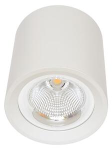 Ecolite Lampada da parete bianca rotonda 30W MZ-DL-30W/BI