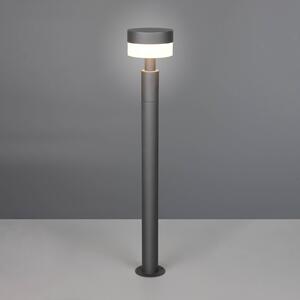 Trio Lighting Lampione a LED Mackenzie, altezza 95 cm, antracite, fusione di alluminio