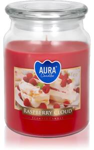 BISPOL Premium Line Raspberry Cloud candela profumata 500 g