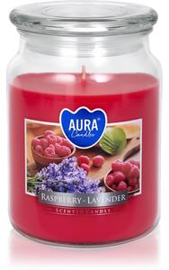 BISPOL Premium Line Raspberry -Lavender candela profumata 500 g