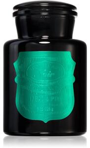 Paddywax Apothecary Noir Tabac & Pine candela profumata 226 g