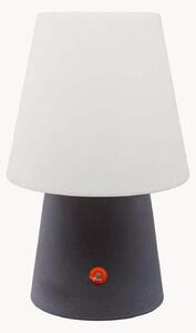 Lampada decorativa portatile a LED con luce regolabile No. 1