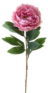 Set 12 Peonia innevata H76 cm Rosa