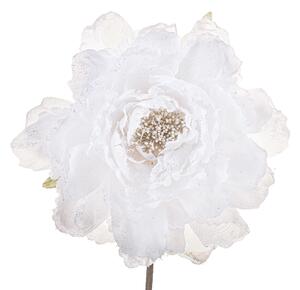 Set 12 Pick Peonia Ø14 cm Bianco