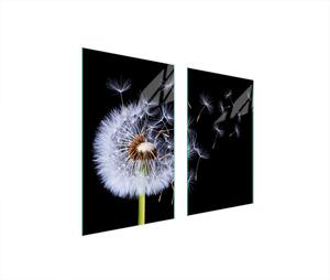 Piastre copri fornelli 2 pezzi 75x52 Copri piano cottura in Vetroceramica tagliere in vetro dente di leone nero