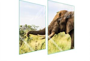 Piastre copri fornelli 2 pezzi 35x52 Vetroceramica copri piano cottura tagliere in vetro elefante animale