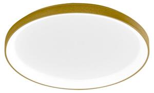 Krizia Lampada a Soffitto 50W LED 3000K, Dimmerabile Taglio Fase, Montatura in Alluminio Oro Spazzolato, Diffusore Acrilico Opale - Gealuce