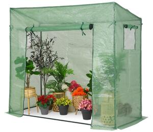 Mini serra di telo per pomodori 2 x 0,8 m Garden Point verde
