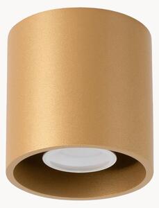 Faretto da soffitto Roda 1