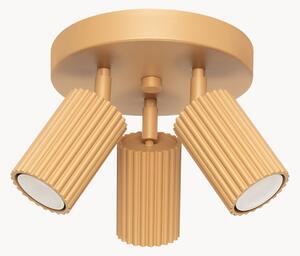 Faretti da soffitto a LED Gleam