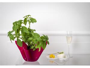 Vaso, Centrotavola, Forma Iconica in Plexiglass SLIM Linea Drappeggi D'AUTORE Dimensioni 22x21x h 21 cm - 0,5 kg Colore Fuxia Trasparente