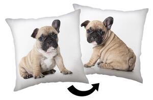 Cuscino per bambini 40x40 cm Bulldog – Jerry Fabrics